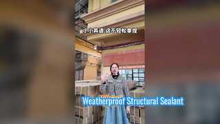 Silicone sealant factory